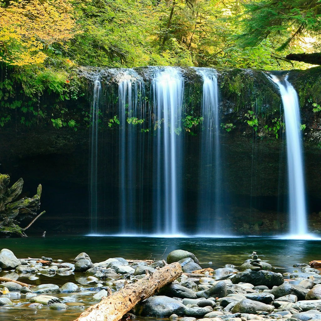 Tropical Rainforest Waterfall Oasis